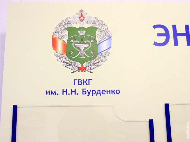 Логотип ГВКГ им. Бурденко крупным планом